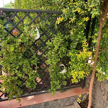 Vakantiehuis Etna Titani Mascalucia